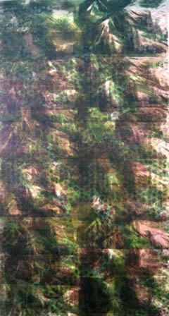 hand printed window shade